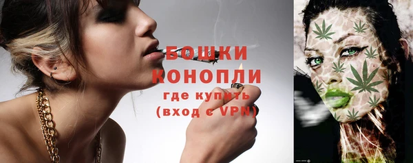 шишки Протвино