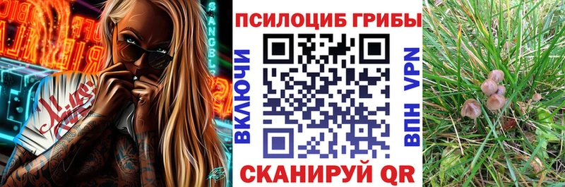Галлюциногенные грибы GOLDEN TEACHER  наркотики  Берёзовка 